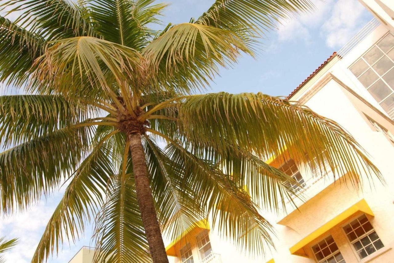 2 Bedroom Ocean Drive Newly Renovated Miami Beach Eksteriør billede